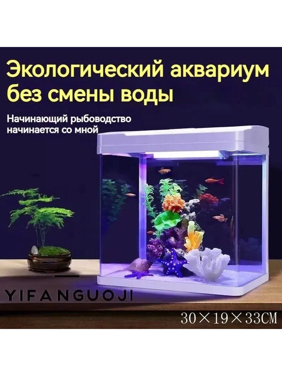 Аквариум, белый, 30 × 19 ×, Экологический аквариум без смены воды