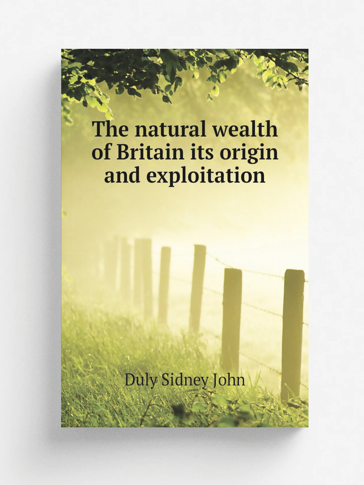 The natural wealth of Britain its origin and exploitation | Duly Sidney John | Репринт
