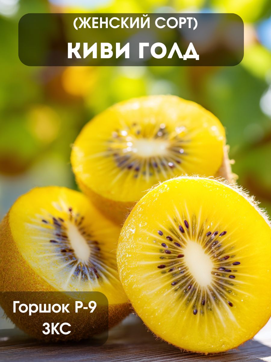 Киви Голд (женское растение)