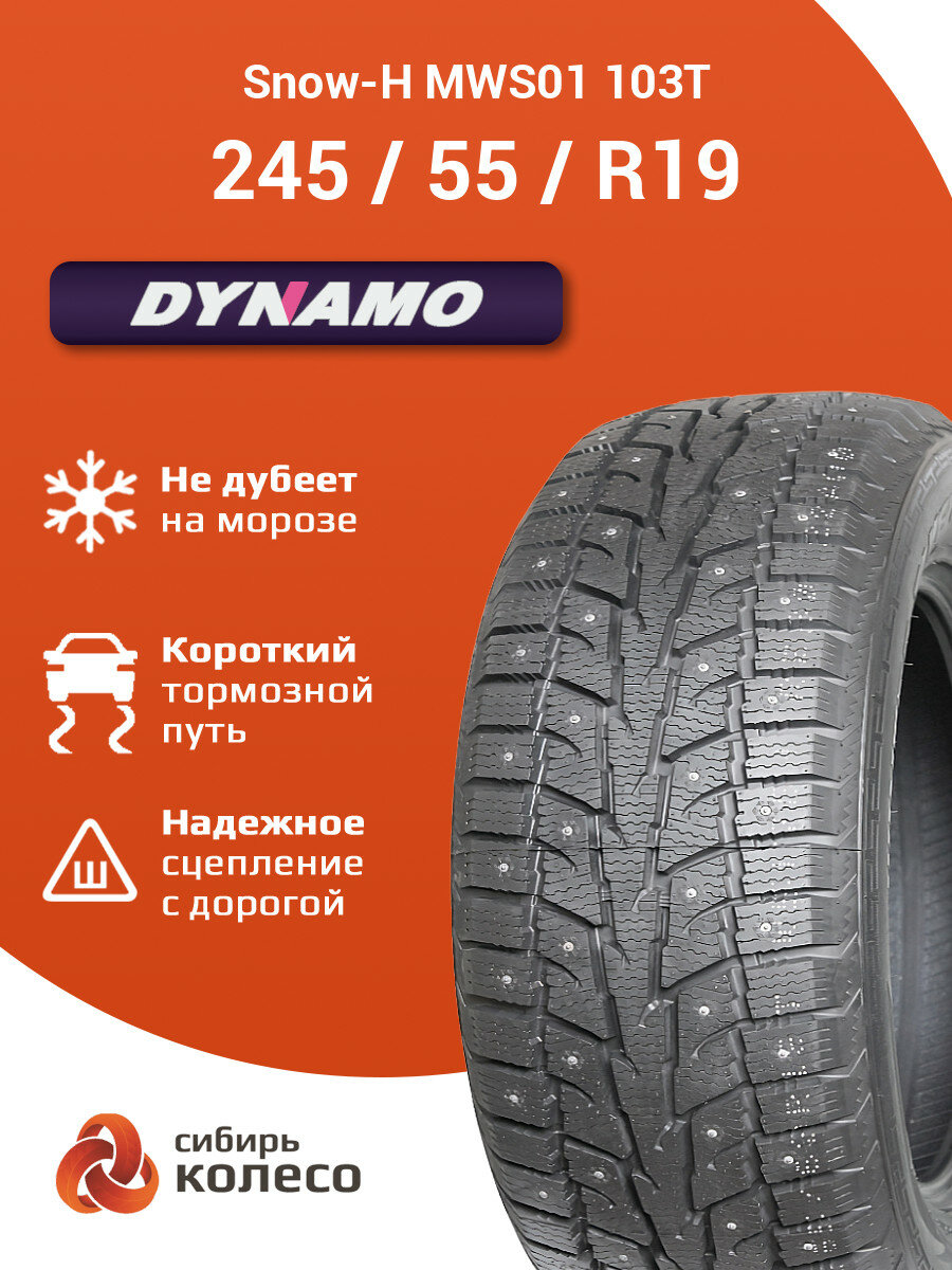 245/55R19 Sailun(Dynamo) Snow-H MWS01 103T шип
