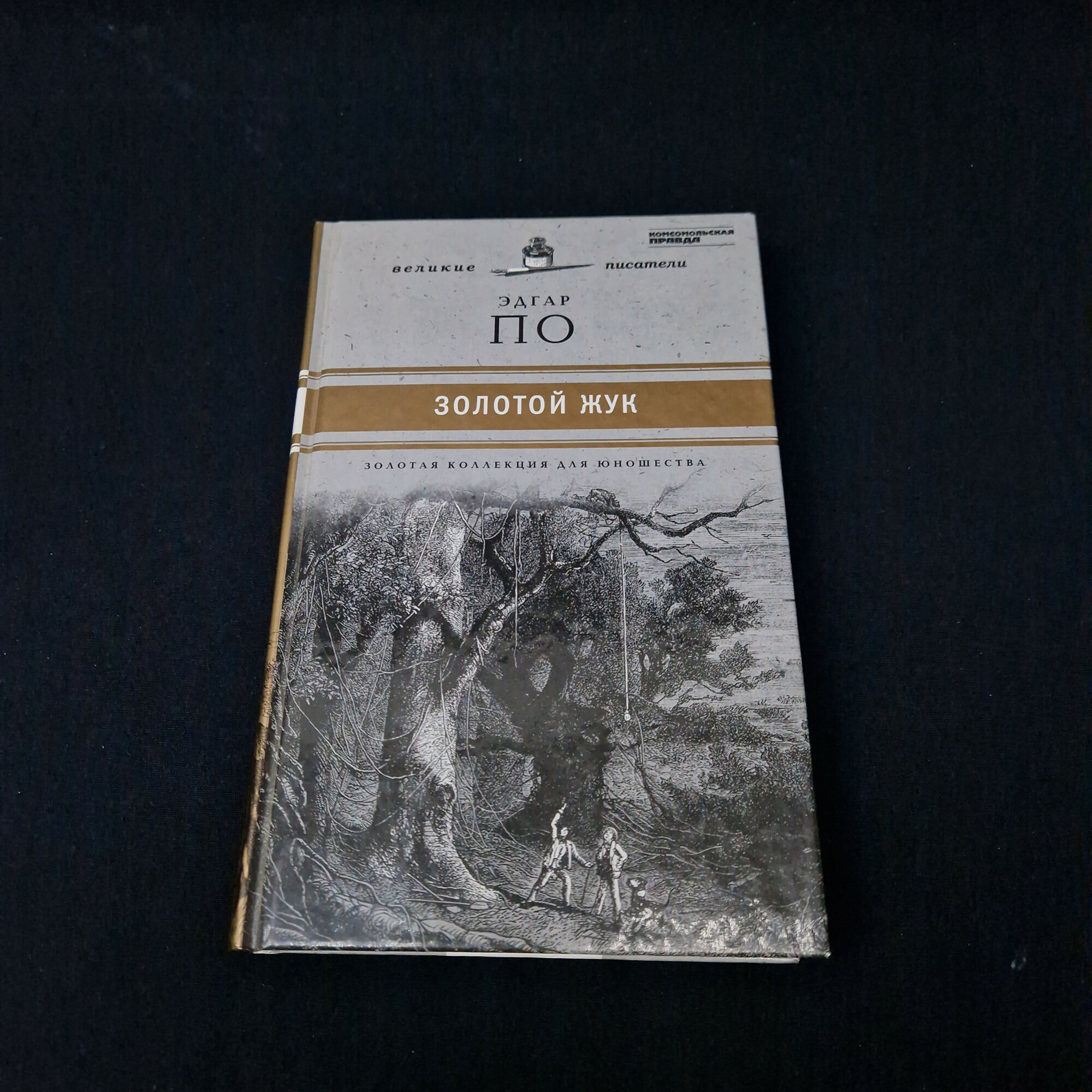 Эдгар Аллан По. Золотой жук. Книга, классика