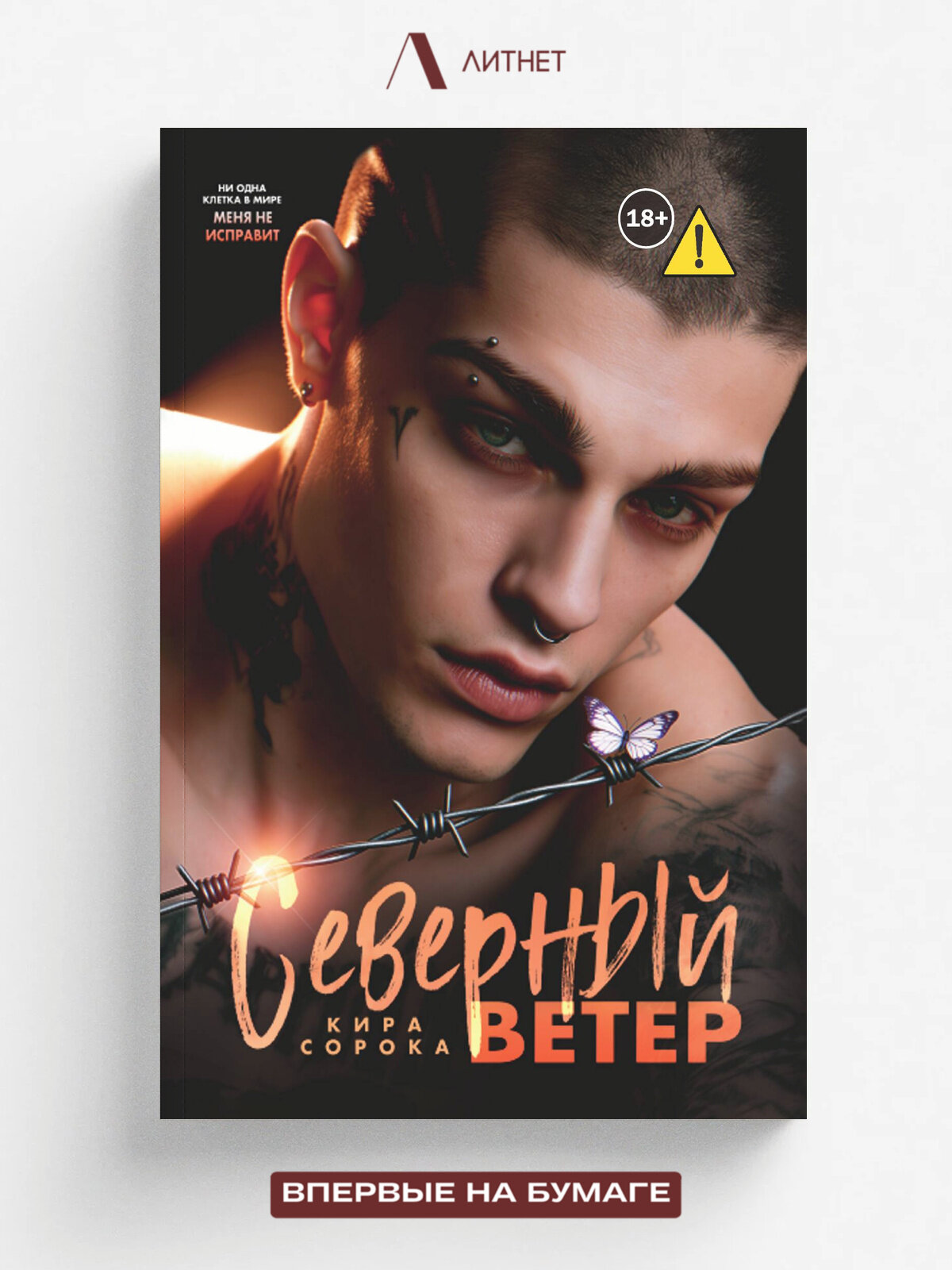 Северный ветер — фото 1