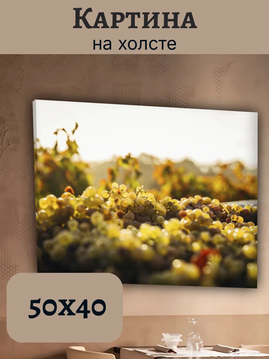 Картина Итальянская Кухня Еда 40x50 виноград