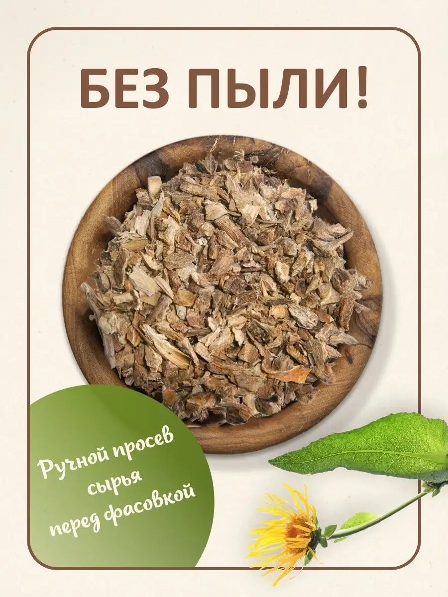 Девясил корень — фото 1