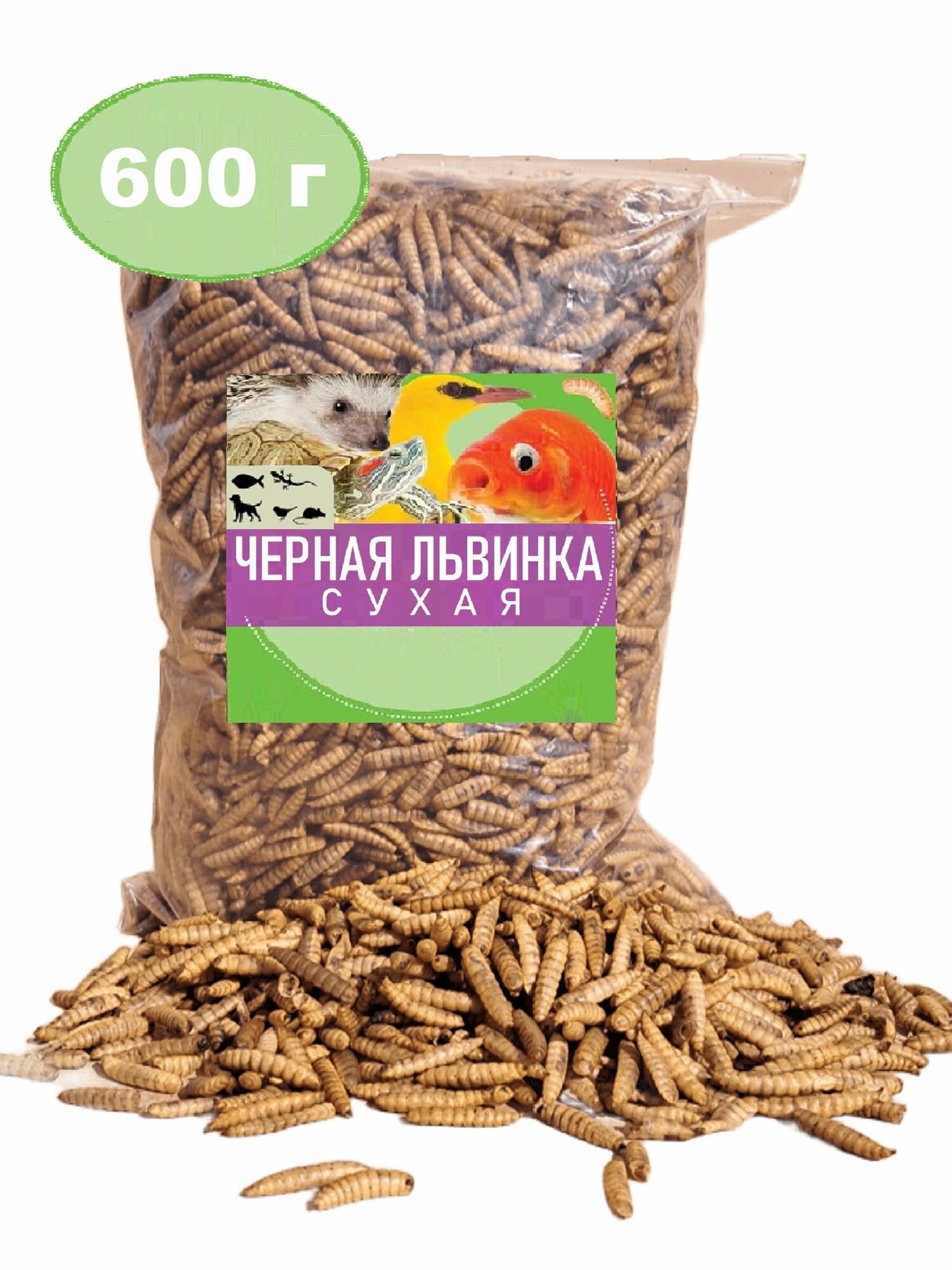 Черная львинка. Сухая личинка. 600 г