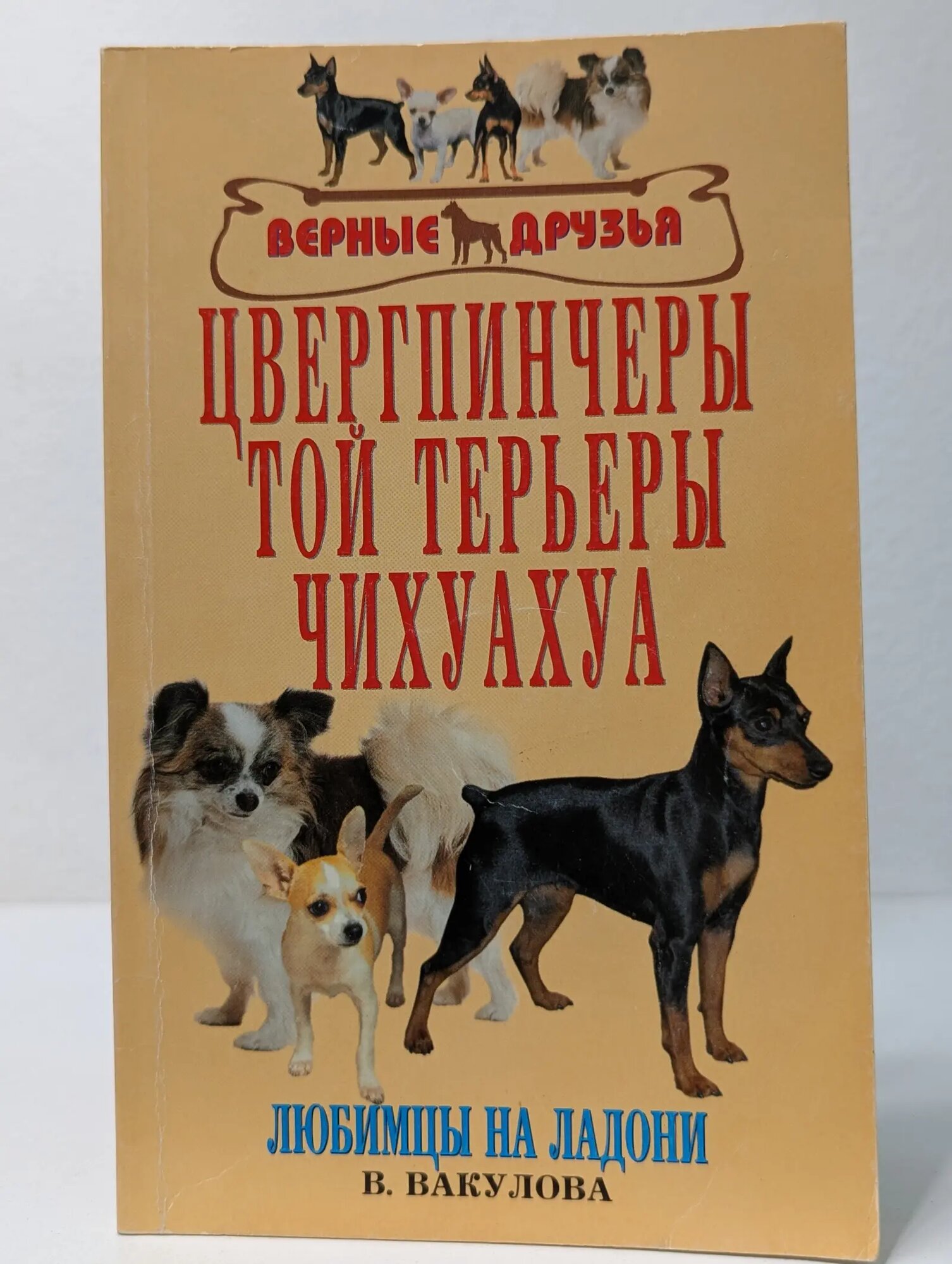 Цвергпинчеры. Той терьеры. Чихуахуа Вакулова Вера Васильевна 2007