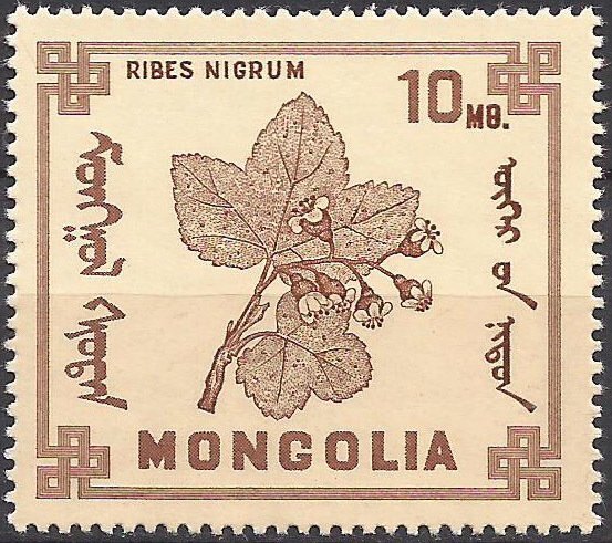 (1968-010) Марка Монголия "Черная смородина " Ягоды III O