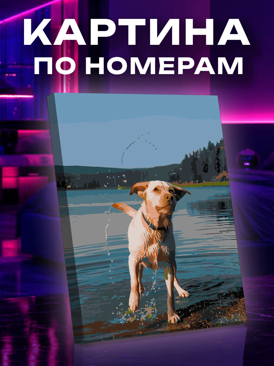 Картина по номерам Собака
