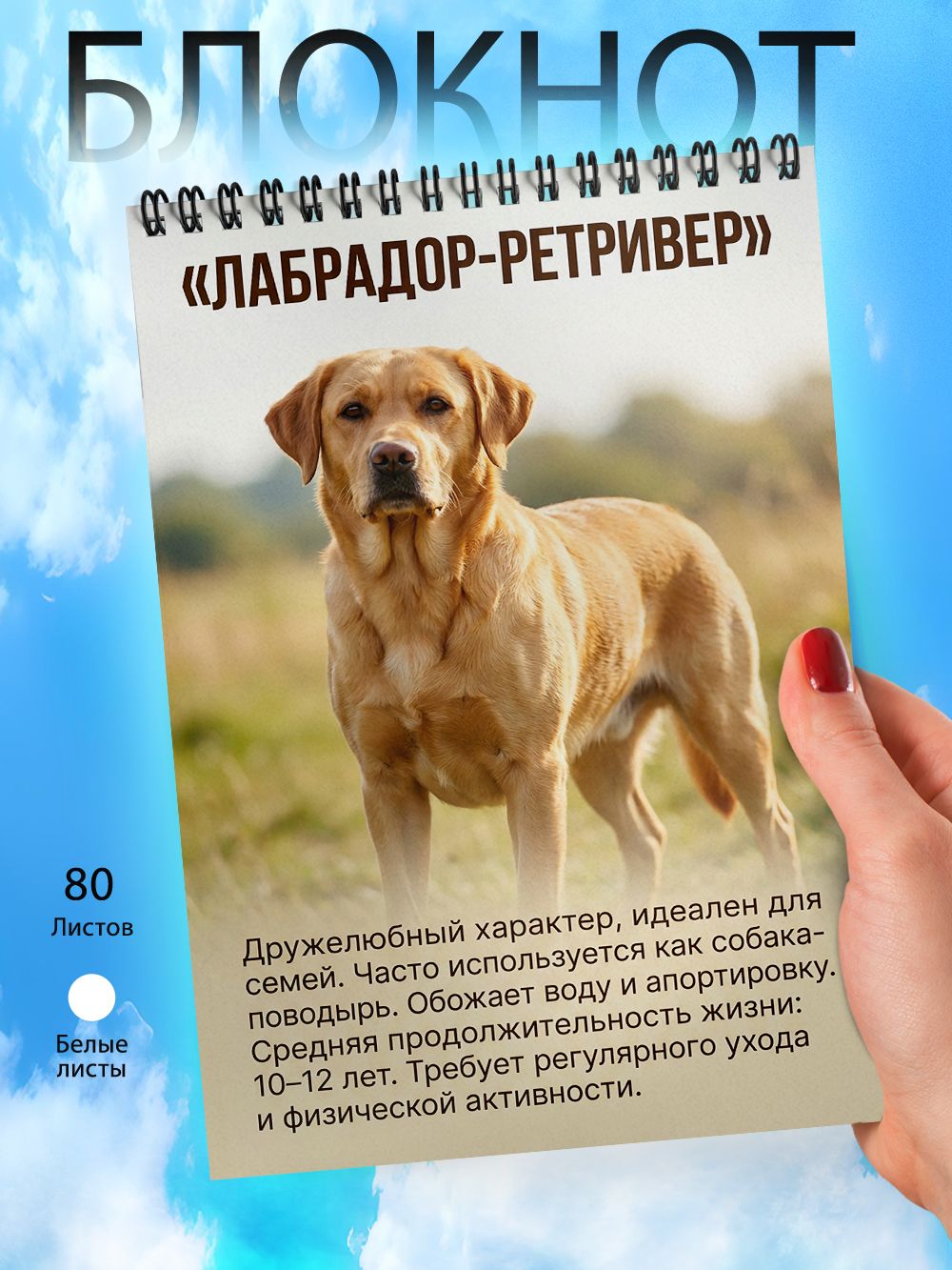 Блокнот А6 - Лабрадор ретривер