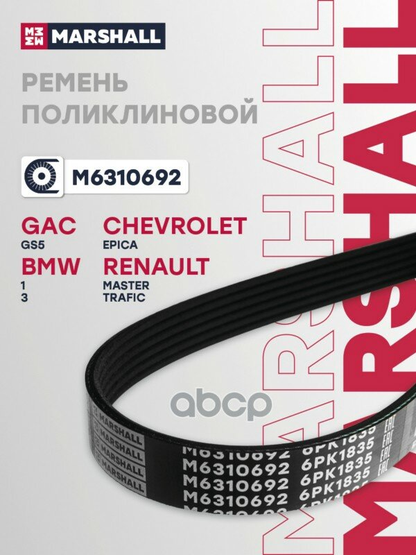 Ремень поликлиновой MARSHALL арт. M6310692
