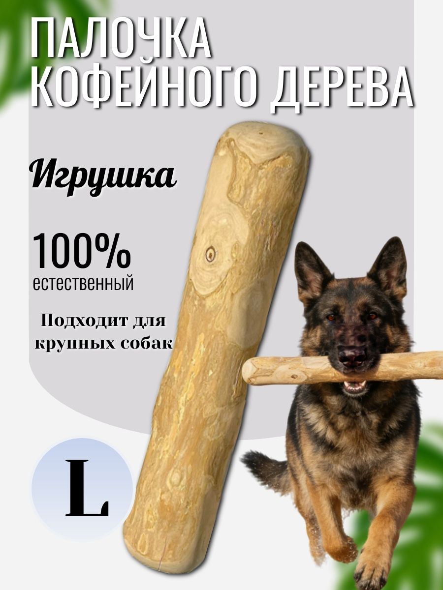 Игрушка для собак мелких, средних, крупных пород и щенков грызть - прочная палка кофейного дерева, L