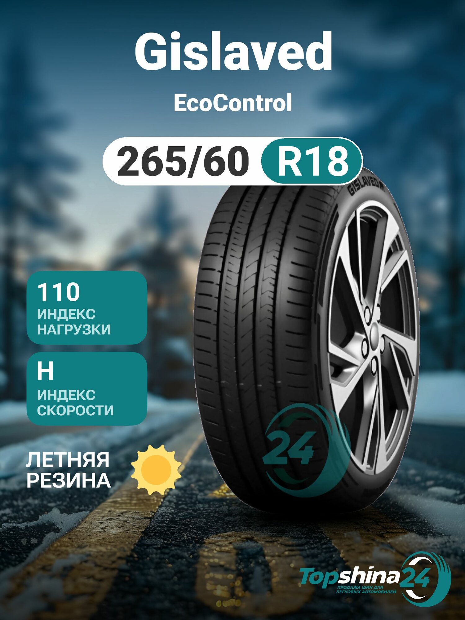 Шины летние Gislaved EcoControl 265/60 R18 H110