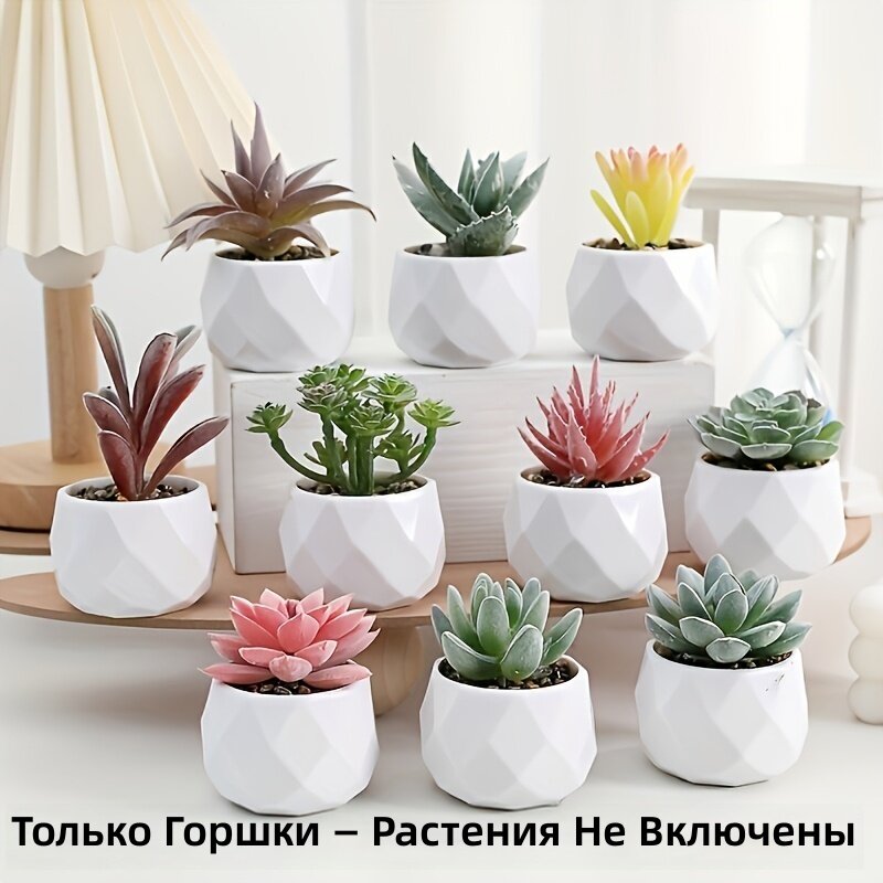 Белые пластиковые круглые горшки для кактусов и суккулентов, 8 шт, современный минималистичный дизайн, для дома, офиса и балкона
