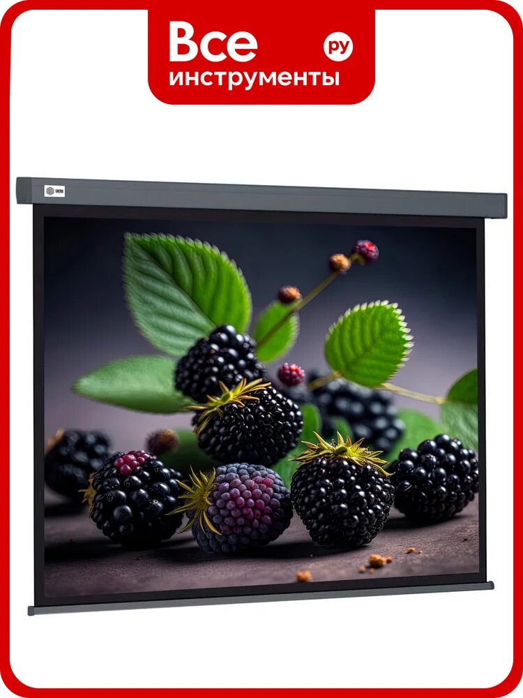 Настенно-потолочный рулонный экран CACTUS 127x127 см Wallscreen CS-PSW-127x127-SG 1:1 серый 1678295