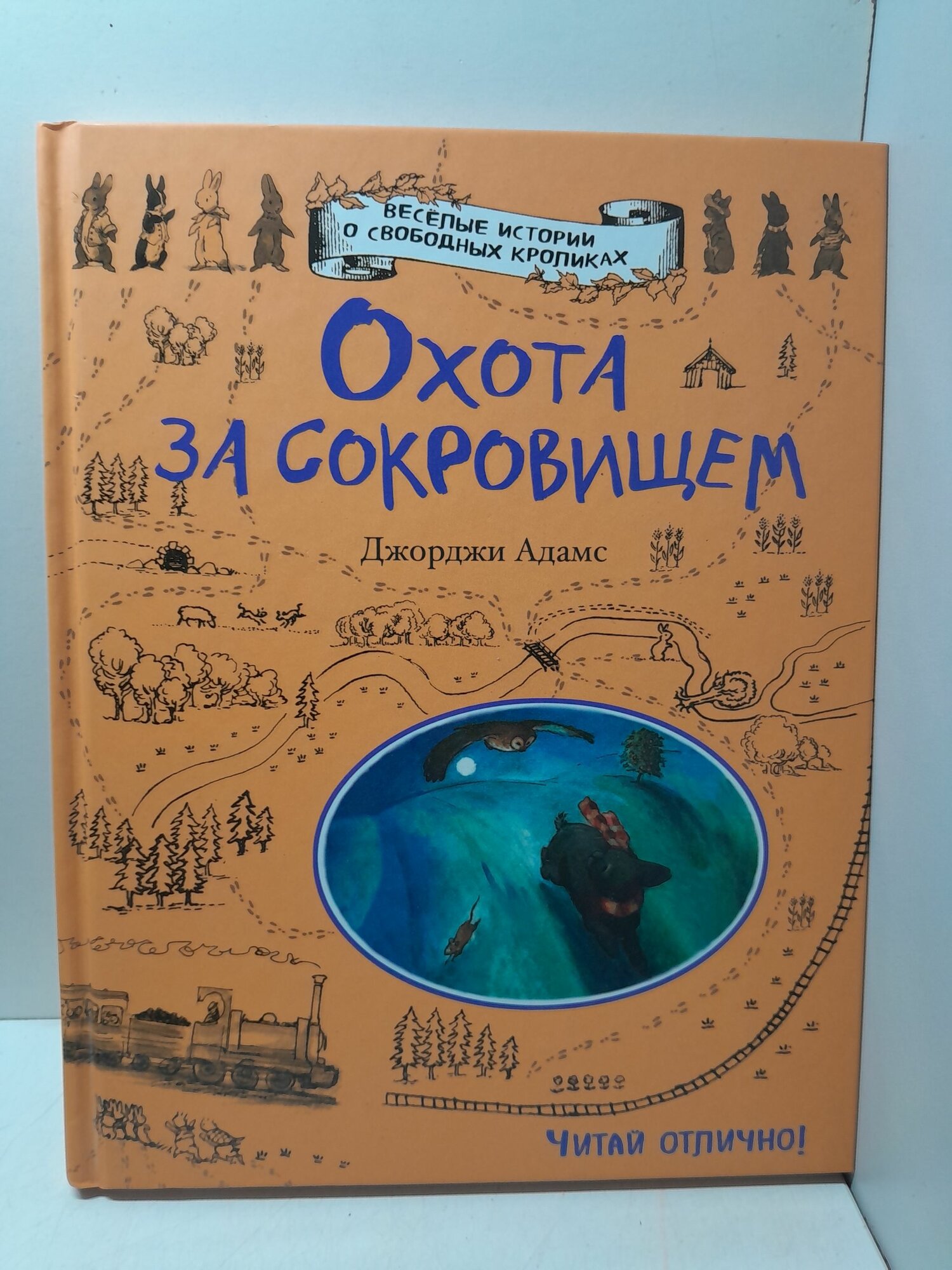 Охота за сокровищем / Адамс Джорджи