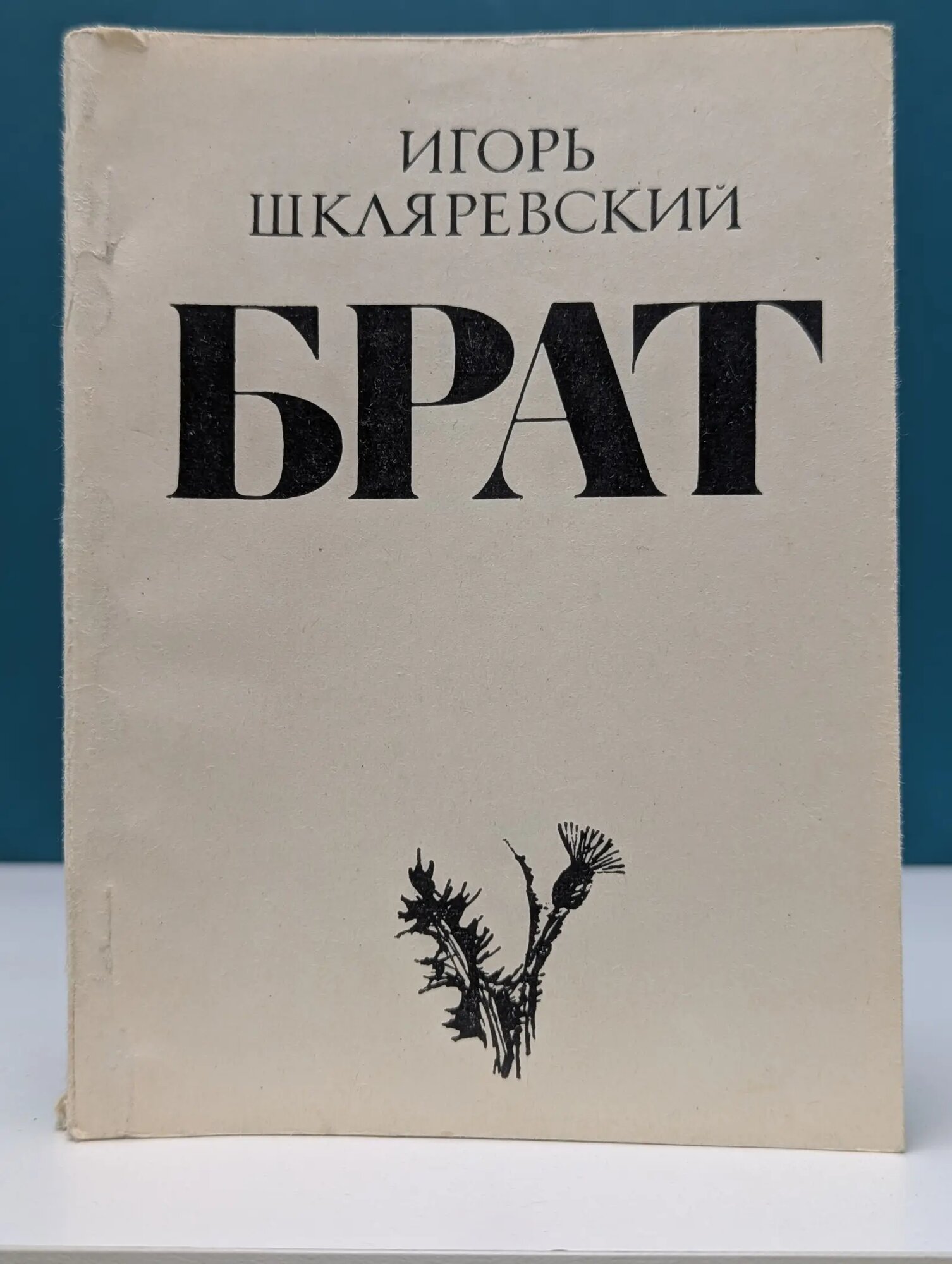 Брат Шкляревский Игорь Иванович 1982