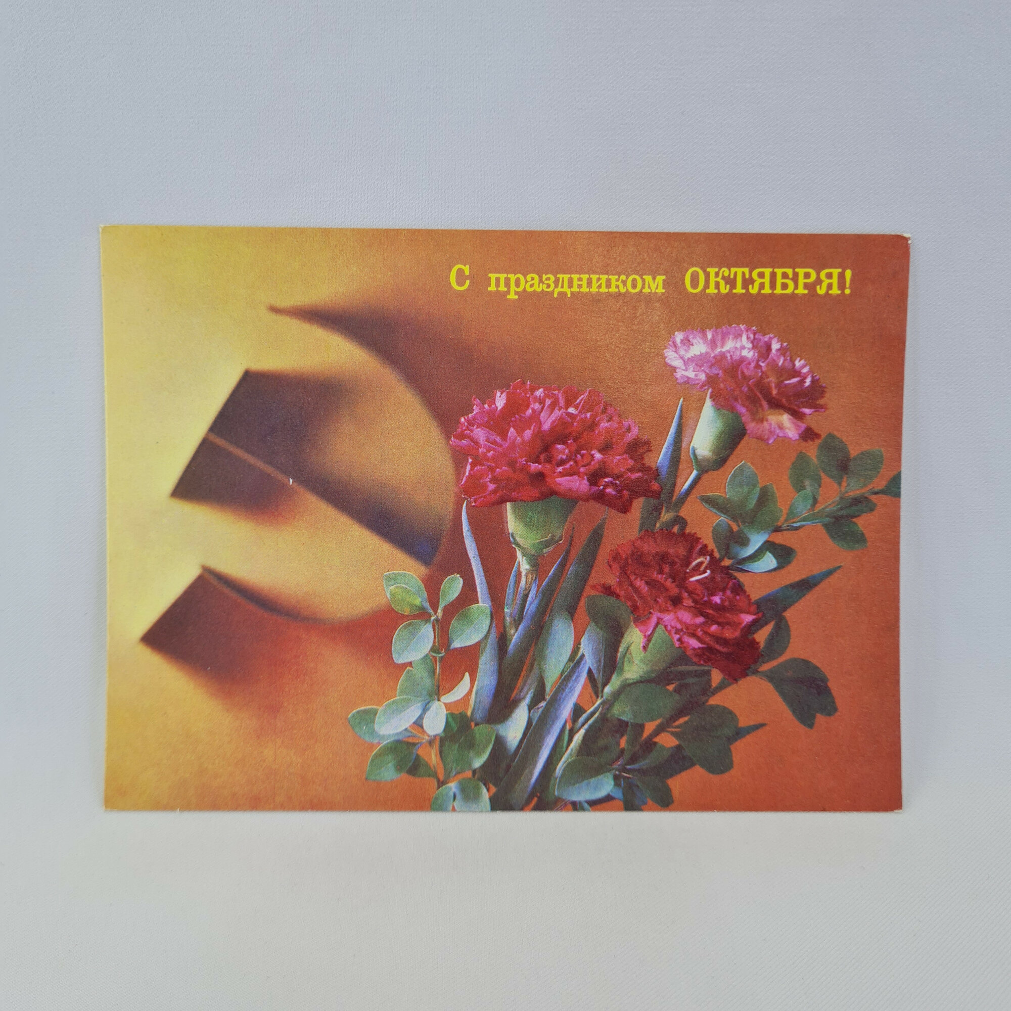 Открытка советская СССР. Поздравление с праздником Октября, гвоздики на красном фоне. Винтаж