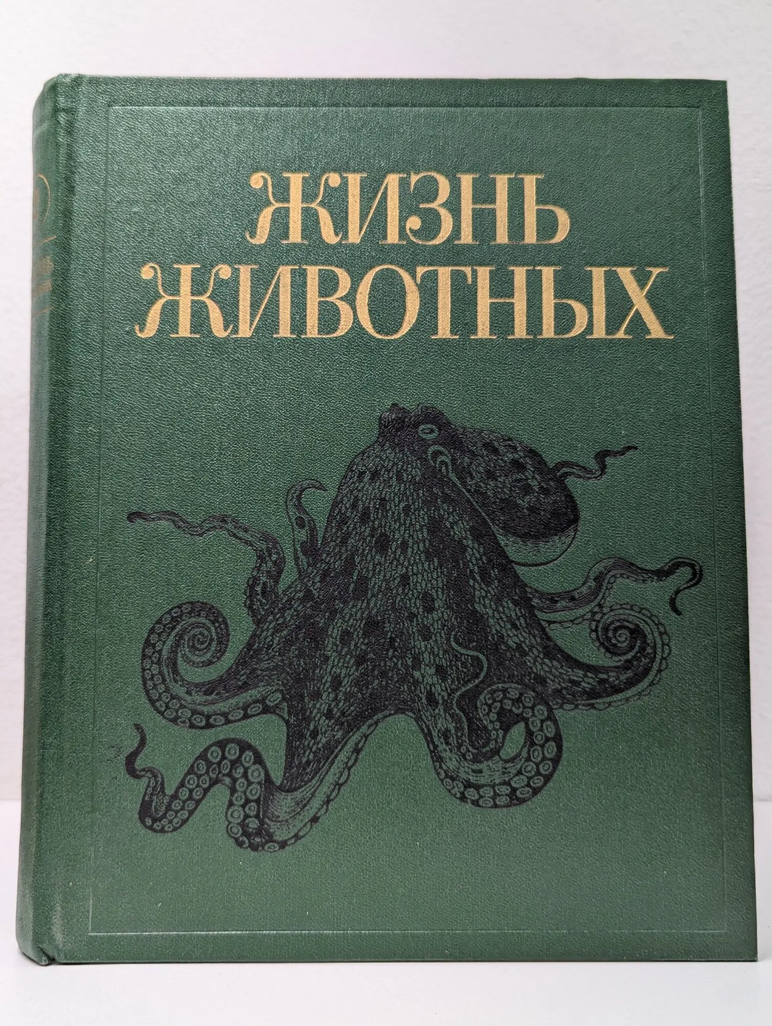Жизнь животных. В 7 томах. Том 2. Моллюски. Иглокожие Сборник 1988