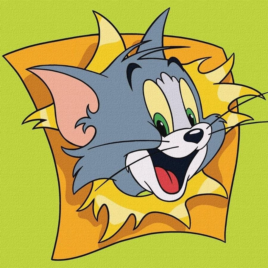 Набор для рисования по номерам Ideyka Tom & Jerry, 25x25 см, для детей
