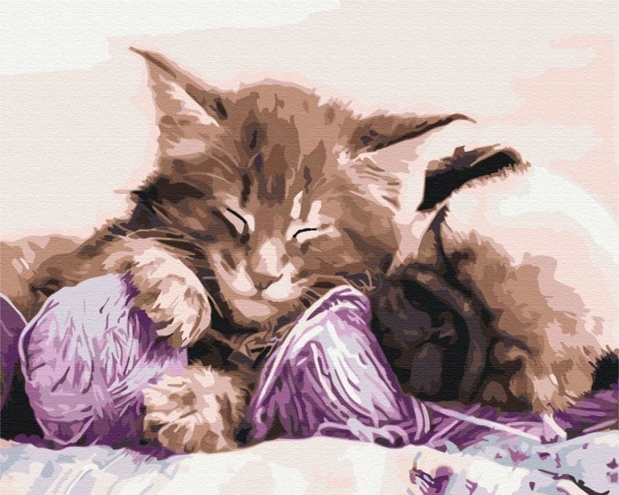 Набор для рисования, росписи Symag Paint it кот и пес, раскрашивание по номерам, 40x50 см, картина для детей