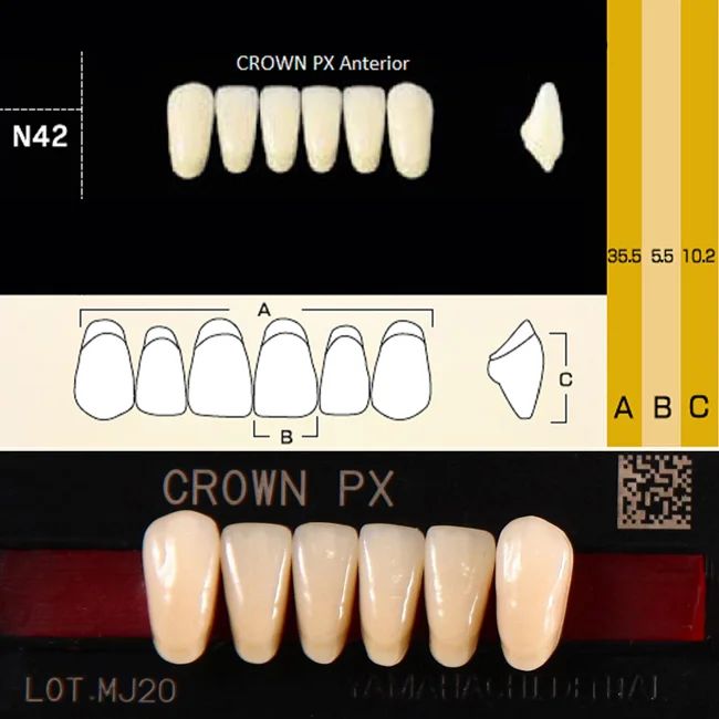 Зубы композитные трёхслойные, вариант исполнения: PX, CROWN Anterior (фронтальные нижние), фасон N42, цвет A2,6 шт. на планке.