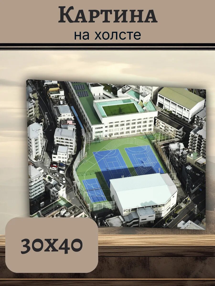 Картина Япония Japan 30x40 аэрофотосъемка стадион