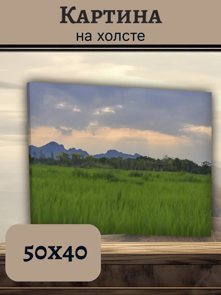 Картина Постер Китай China 40x50 пейзаж природа горы
