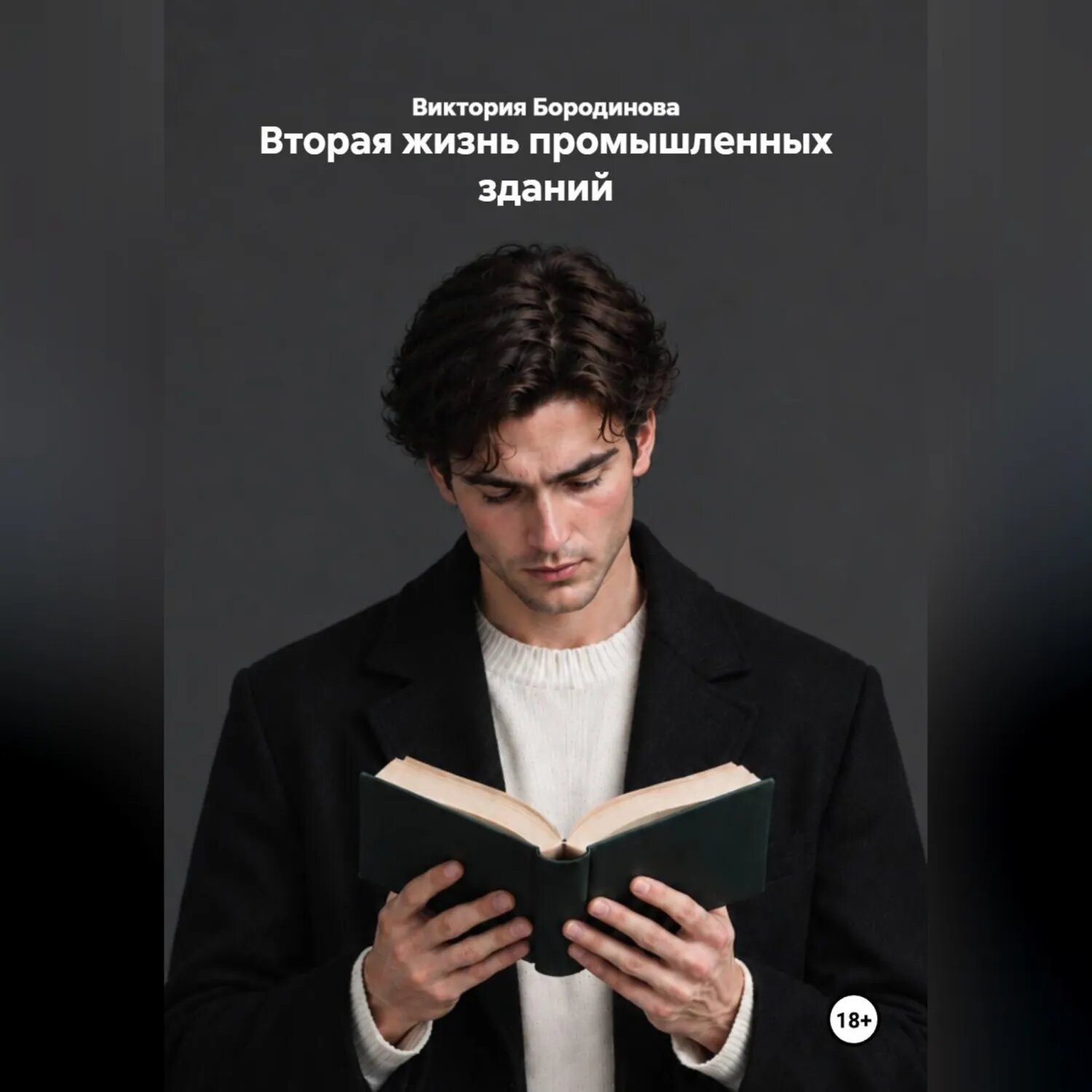 Вторая жизнь промышленных зданий [Аудиокнига]