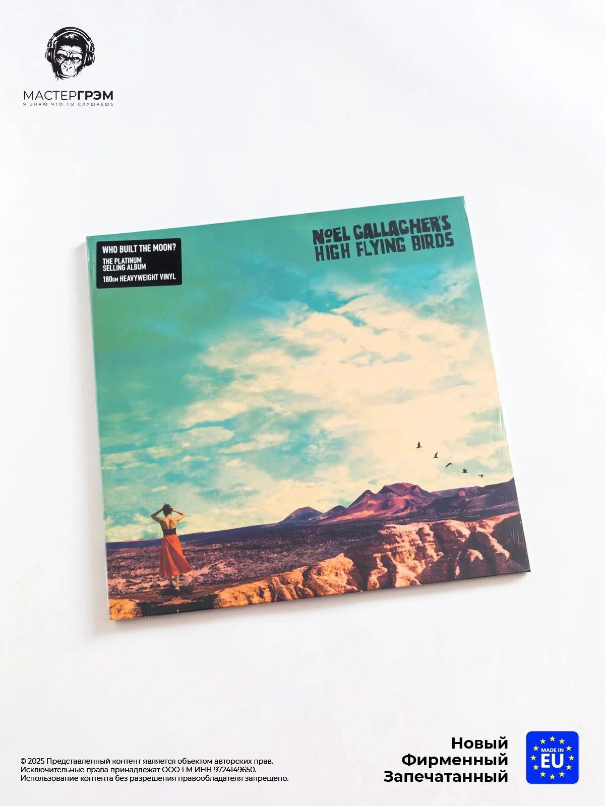Виниловая пластинка Noel Gallagher's High Flying Birds - Who Built The Moon? (LP) 2017