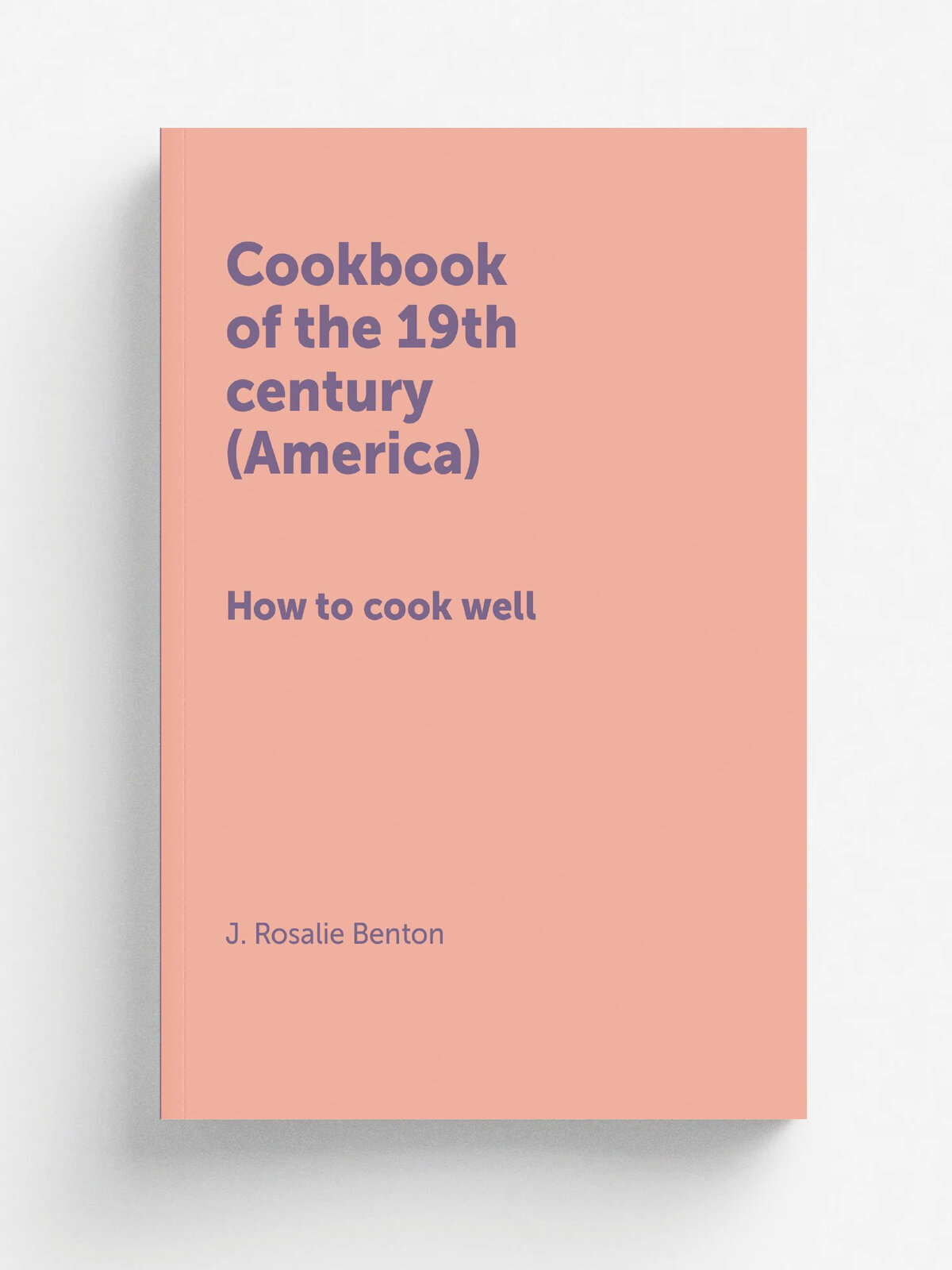 Cookbook of the 19th century (America) / Кулинарная книга 19-го века (Америка). How to cook well / Как хорошо приготовить