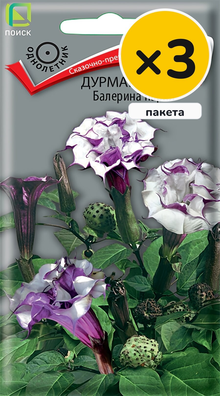 Семена дурмана метел Балерина парпл, 3 шт, 3 пакета, Поиск, однолетник, высота до 50 см, посев на рассаду в марте–апреле