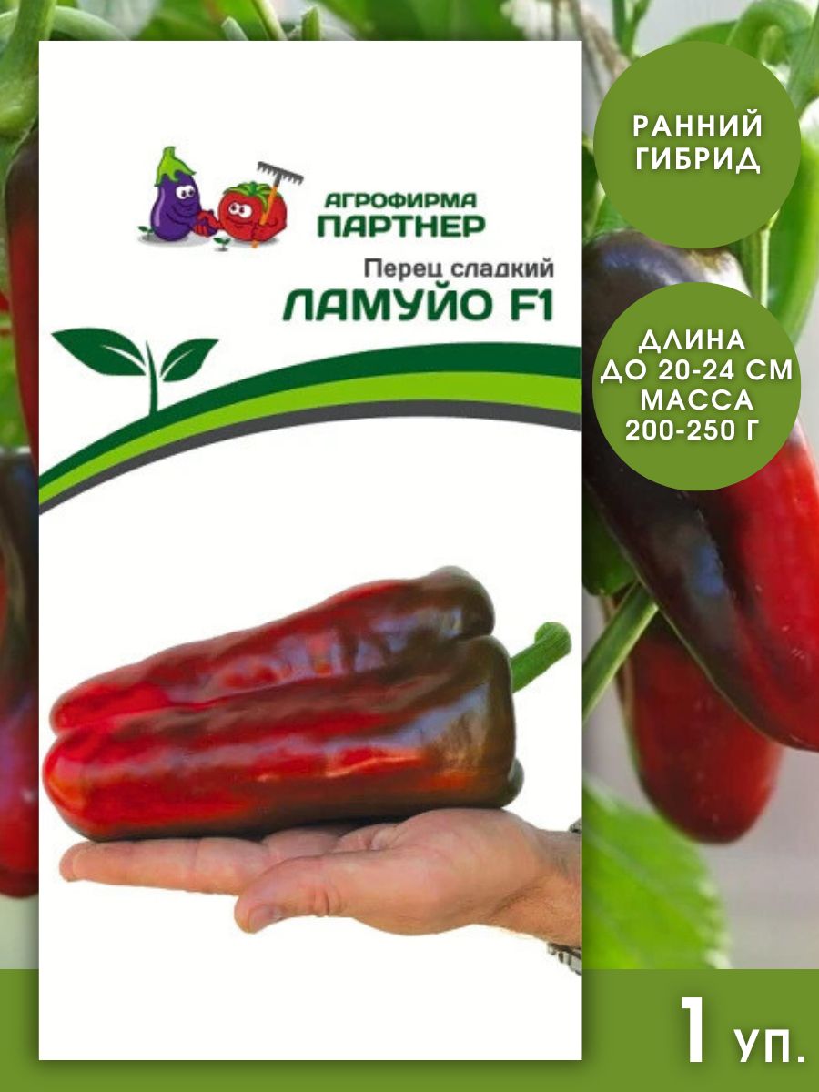 Семена Перец Партнер
