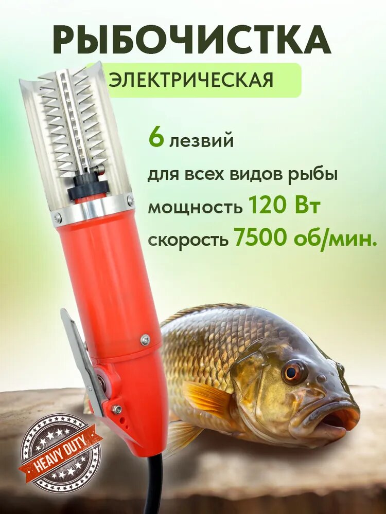 Рыбочистка