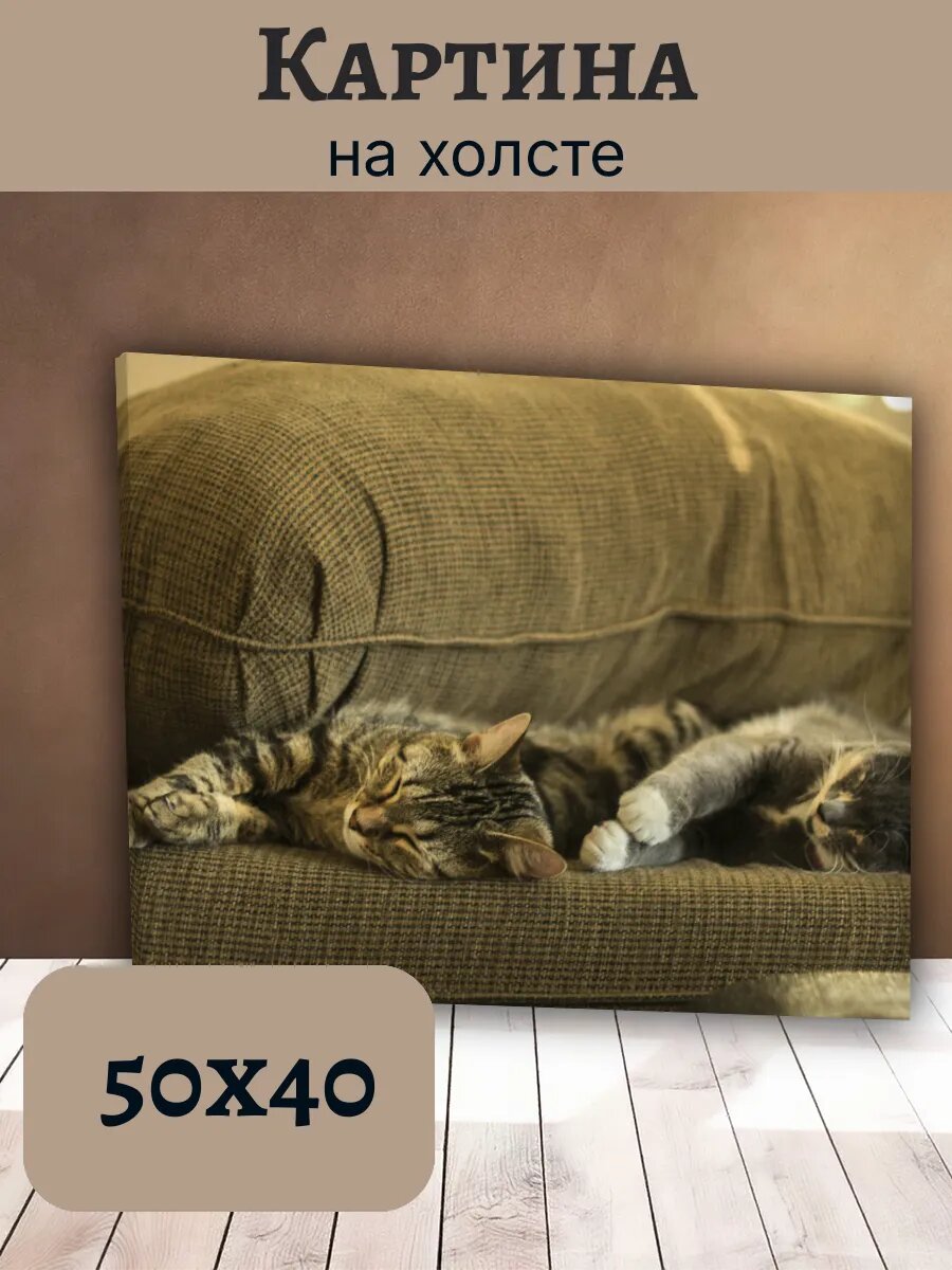 Картина Кот Кошка Cat 40x50 с изображением спящих котят