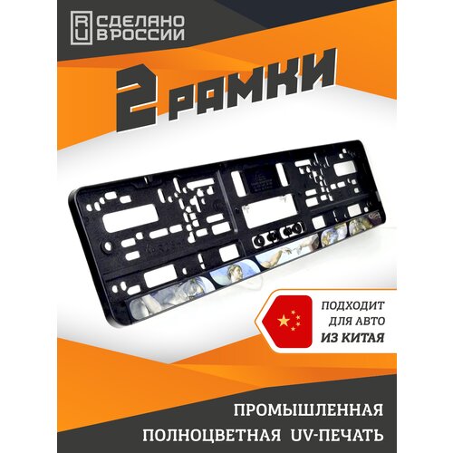 фото Микеланджело буонарроти. серия "краски". комплект из двух рамок для госномера с надписью. ars