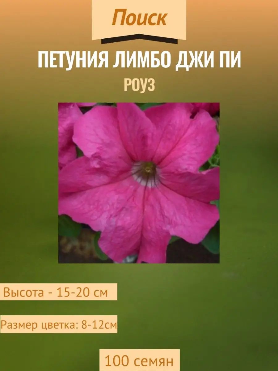 Петуния грандифлора Лимбо Джи Пи F1 Роуз 1 уп - 100 сем
