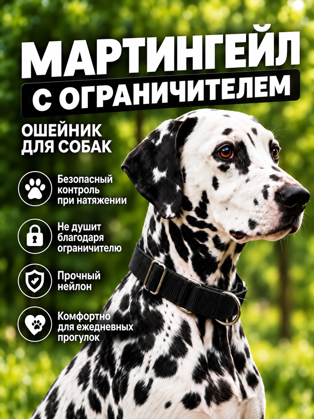 Ошейник-мартингейл, полуудавка для собак с ограничителем, S, обхват шеи 30-40 см, чёрный