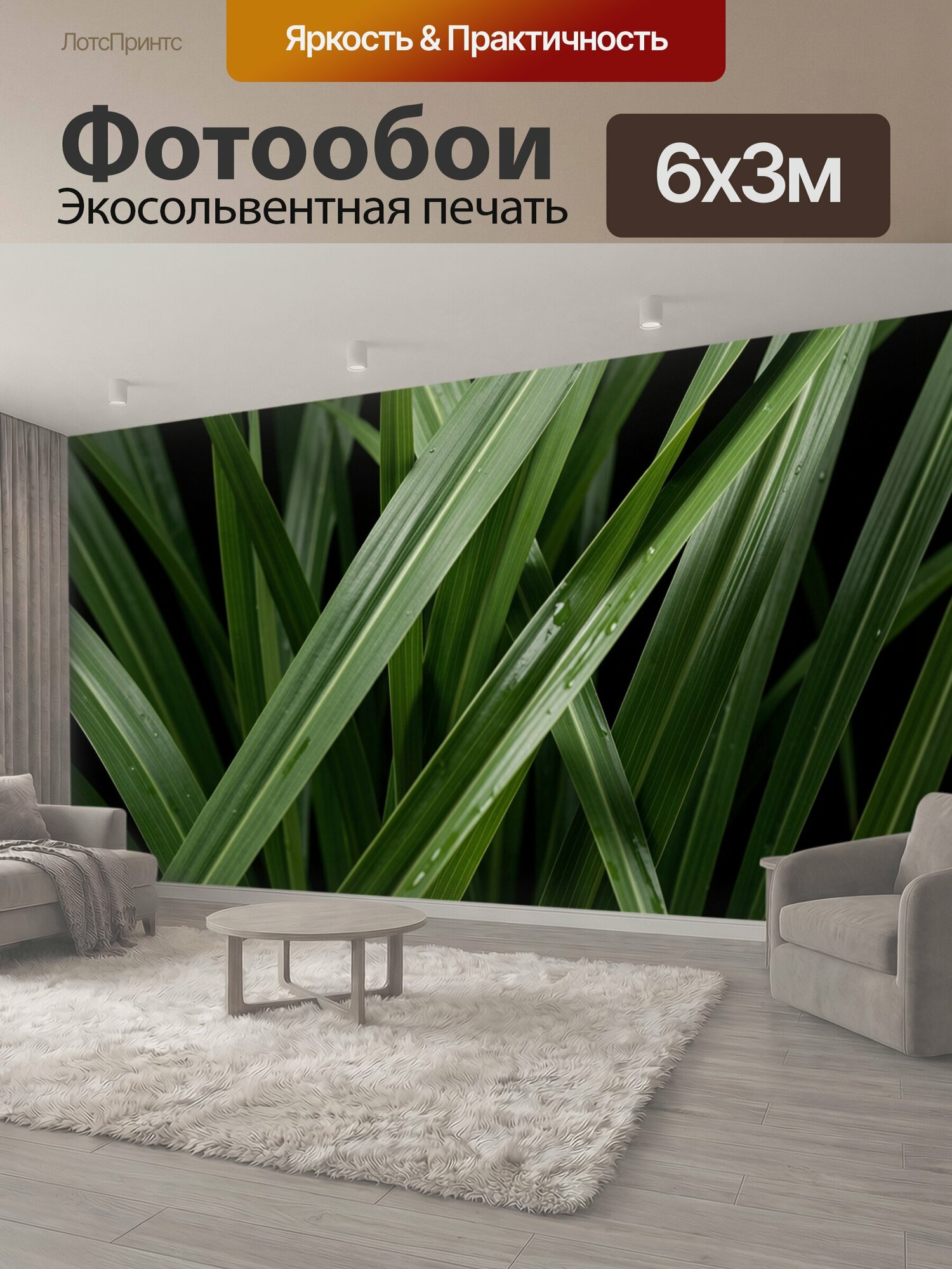 Фотообои "Зелёные травяные листья с росой. Макро крупным планом: длинные узкие травянистые пластины с каплями воды, насыщенные оттенки зелени." 600x300 см. экосольвентная печать
