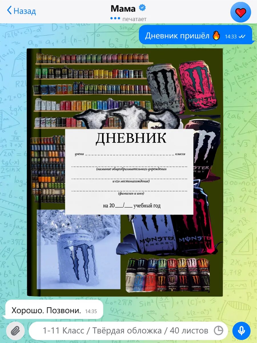 Школьный дневник с принтом Роблокс