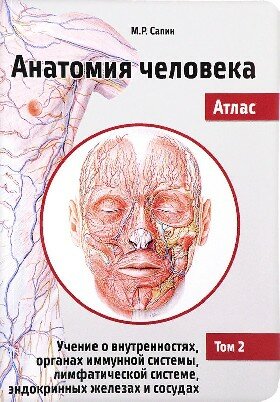 Анатомия человека. Атлас. В III томах. Том II. Учение о внутренностях, органах имунной системы, лимфатической системе, эндокринных железах и сосу