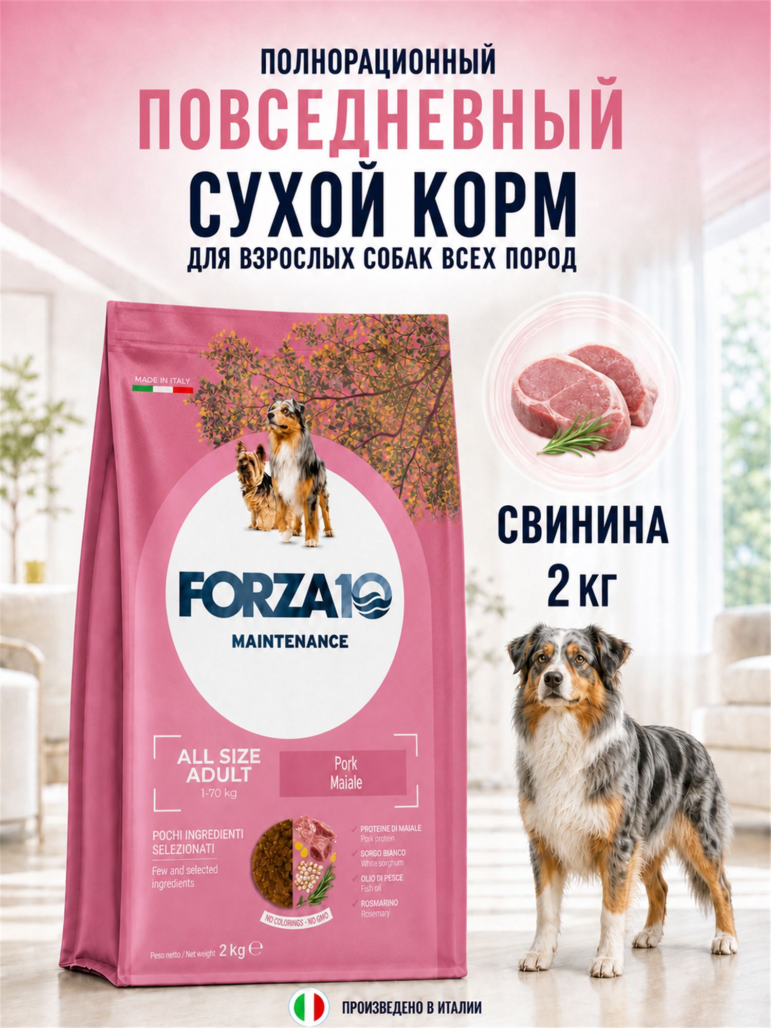 Сухой корм FORZA10 Maintenance Adult для взрослых собак всех пород со свининой, 2 кг