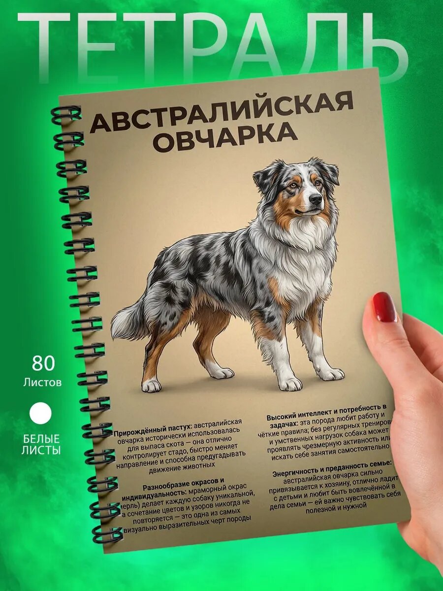 Тетрадь - А5 - Австралийская овчарка