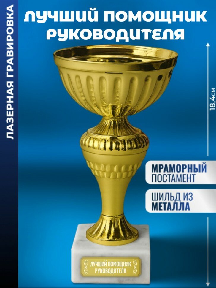 Кубок "Лучший помощник руководителя"