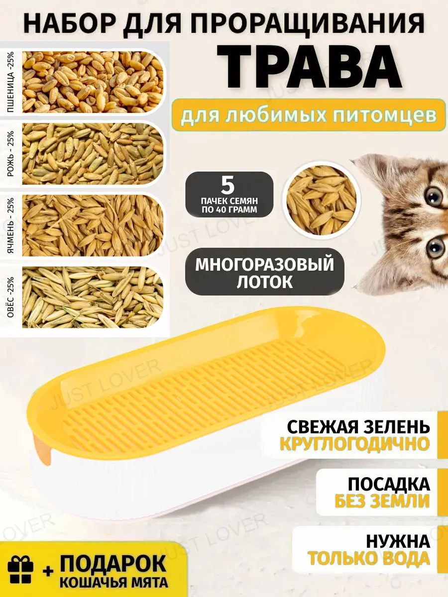 Миска для животных оранжевый