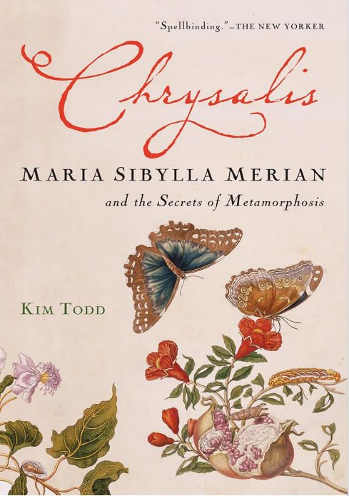 Chrysalis Maria Sibylla Merian and the Secrets of Metamorphosis