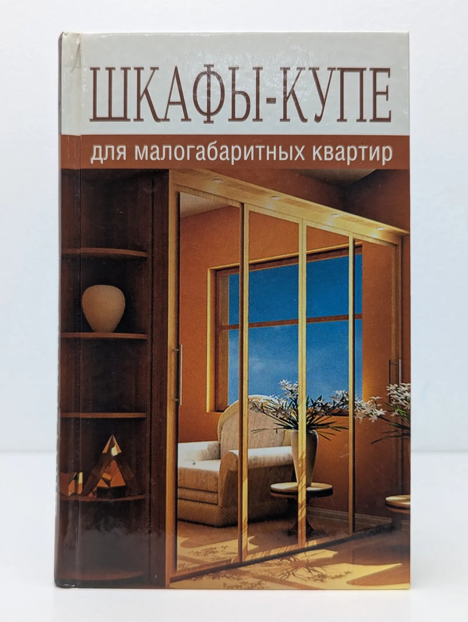 Шкафы-купе для малогабаритных квартир Добров Владимир Владимирович 2009