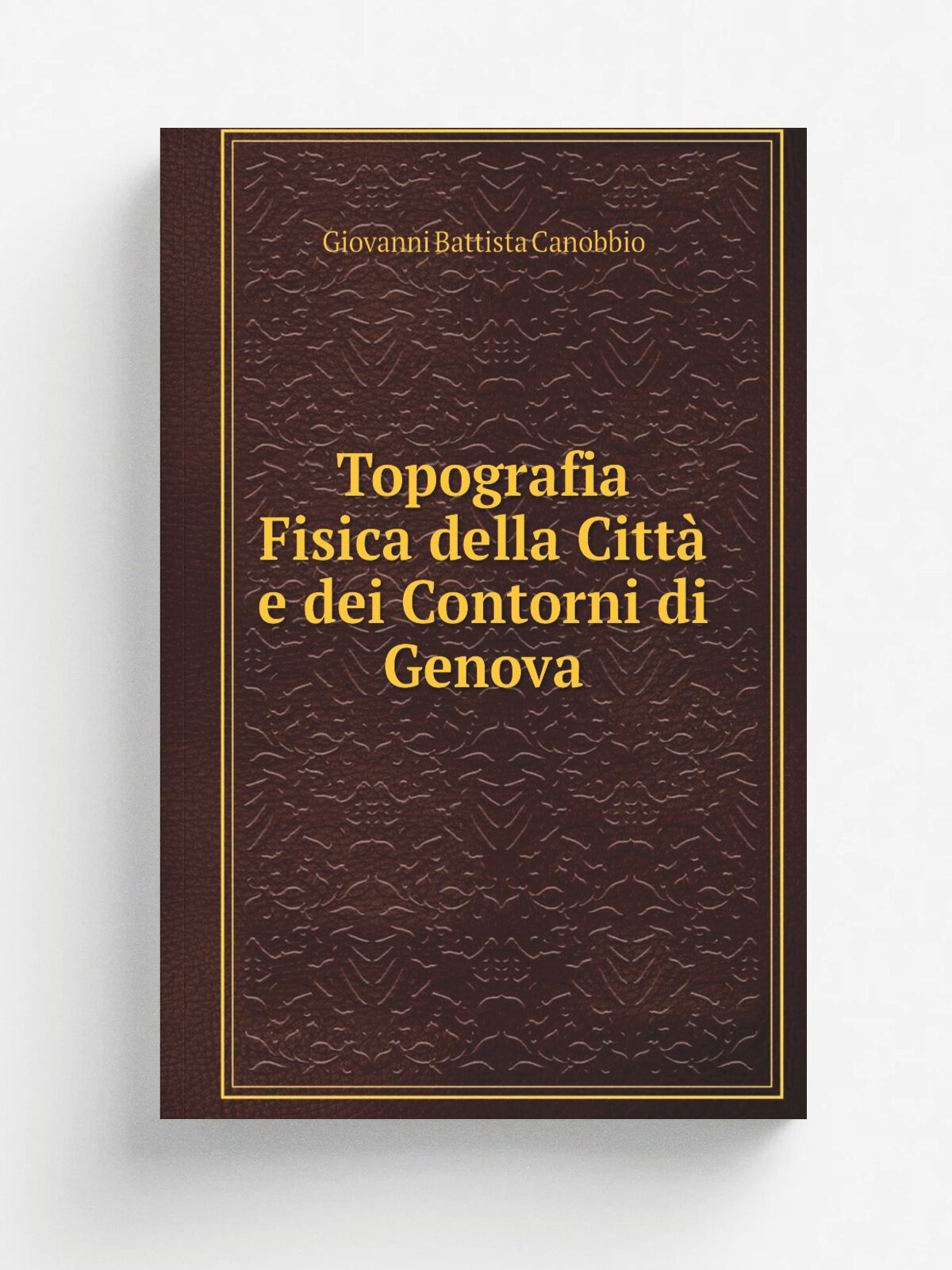 Topografia Fisica della Citt. e dei Contorni di Genova | Giovanni Battista Canobbio | Репринт