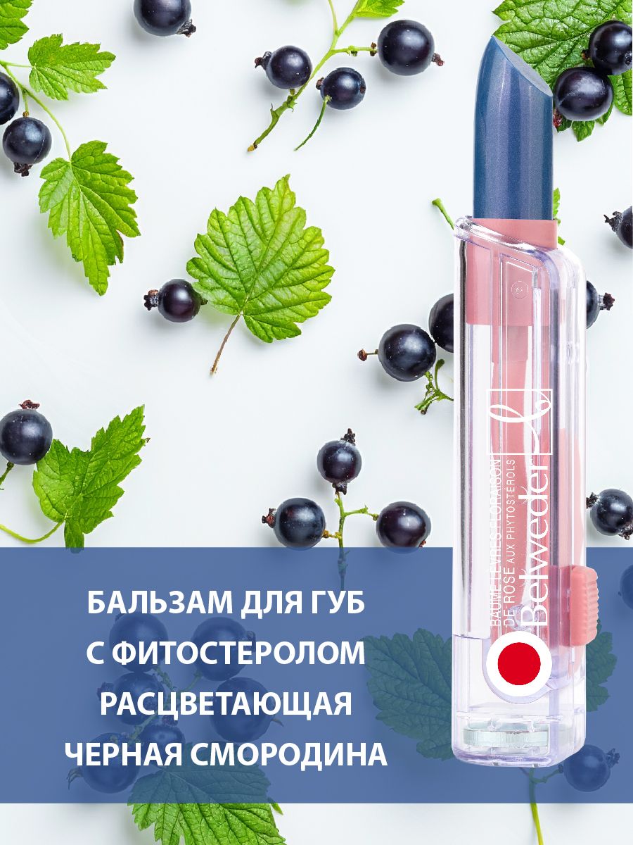 BELWEDER Бальзам для губ с фитостеролом расцветающая черная смородина