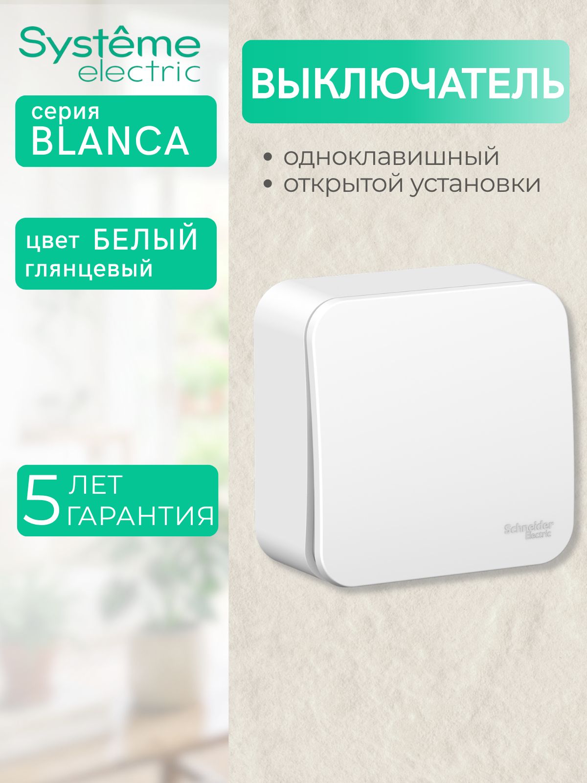 BLANCA выключатель Одноклавишный открытой установки (сх.1) 10 Ампер, белый BLNVA101011 Systeme Electric