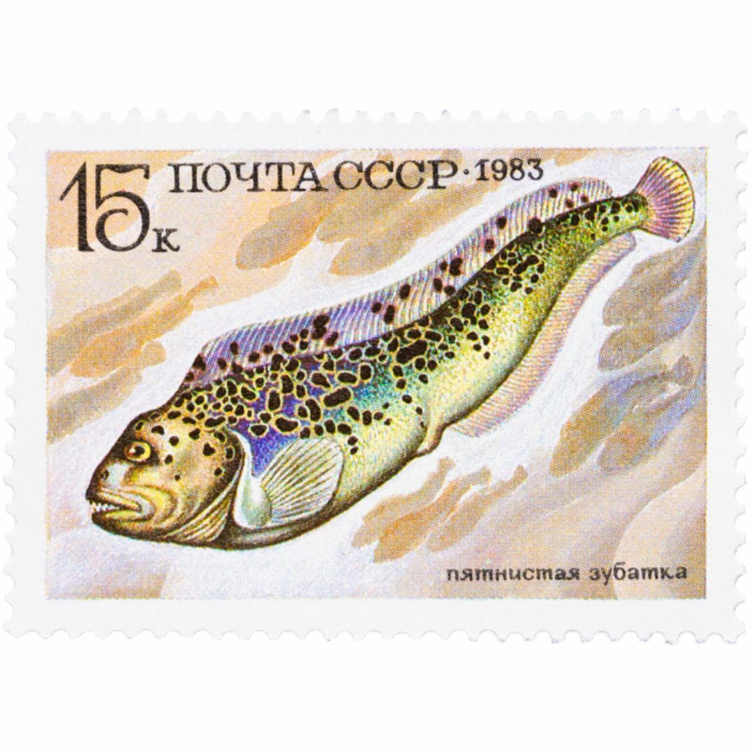 15 копеек марка СССР 1983 "Пятнистая зубатка"